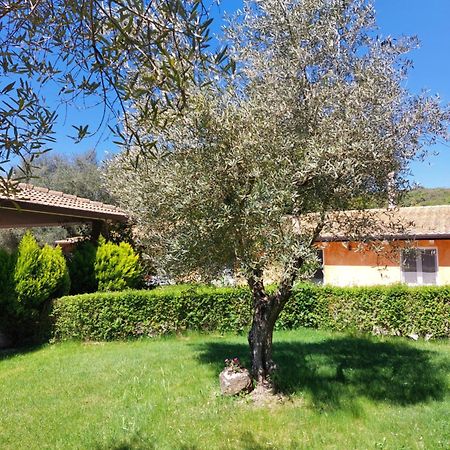 Casa Vacanza Centro Sardegna Sorgono ภายนอก รูปภาพ