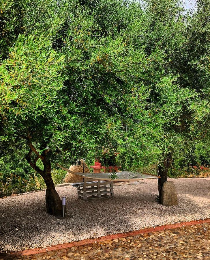 Casa Vacanza Centro Sardegna Sorgono ภายนอก รูปภาพ