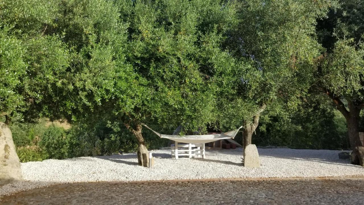 Casa Vacanza Centro Sardegna Sorgono ภายนอก รูปภาพ
