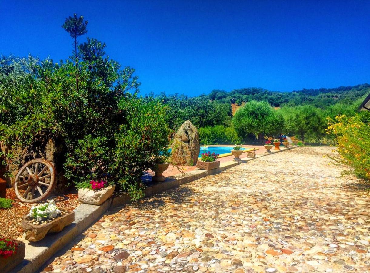 Casa Vacanza Centro Sardegna Sorgono ภายนอก รูปภาพ