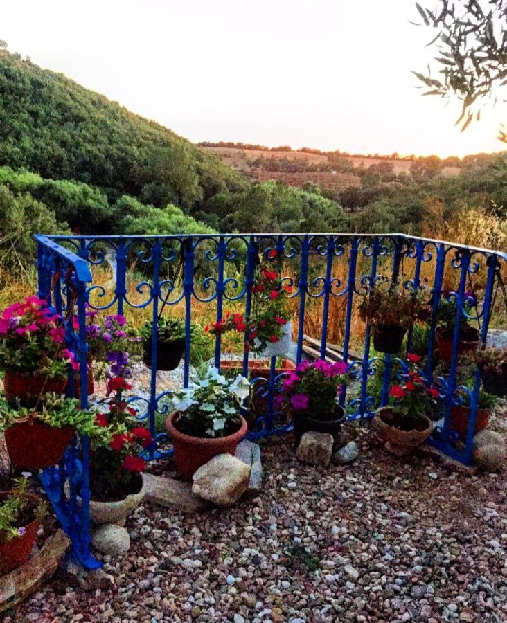 Casa Vacanza Centro Sardegna Sorgono ภายนอก รูปภาพ