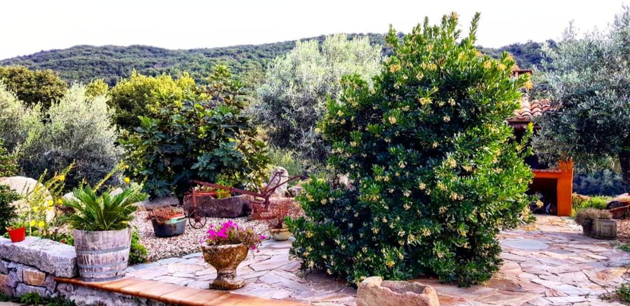 Casa Vacanza Centro Sardegna Sorgono ภายนอก รูปภาพ
